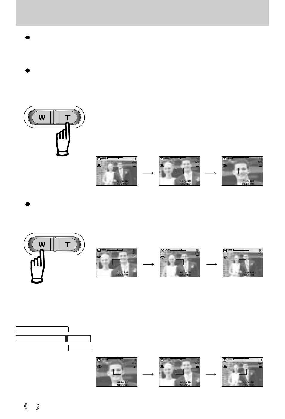 Zoom w/t button | Samsung Digimax V10 User Manual | Page 30 / 136