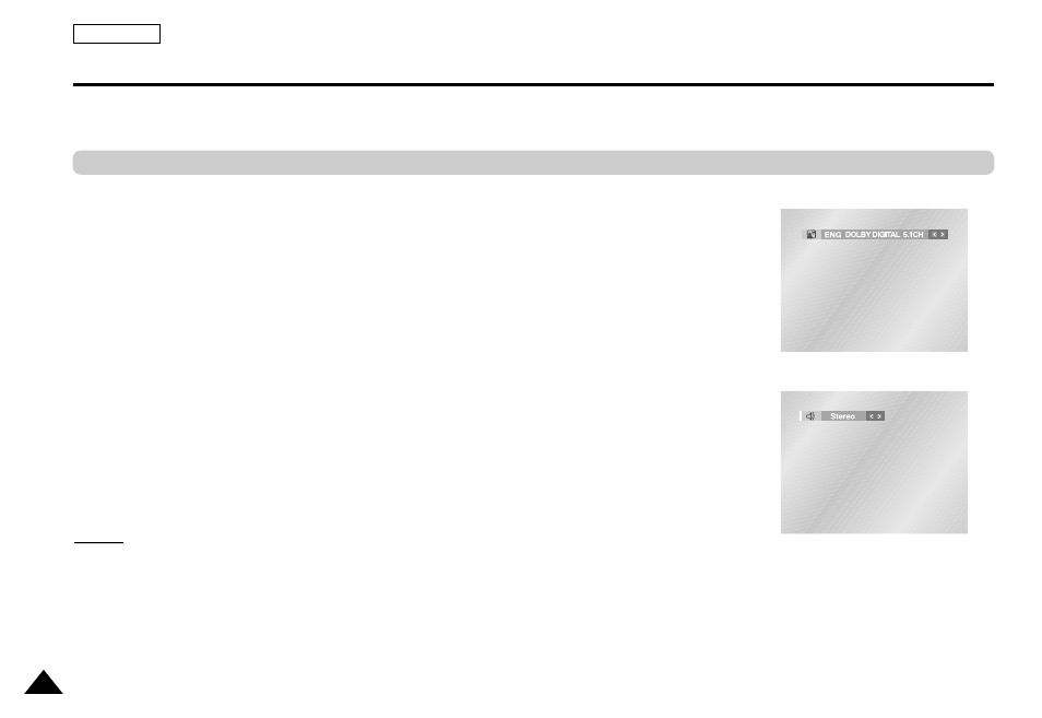 Audio language, Selecting the audio language | Samsung DVD-L1200 User Manual | Page 38 / 65
