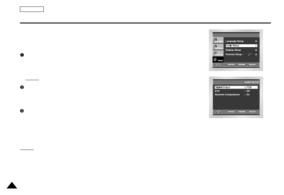 Audio options, Setting up the audio options | Samsung DVD-L1200 User Manual | Page 52 / 65