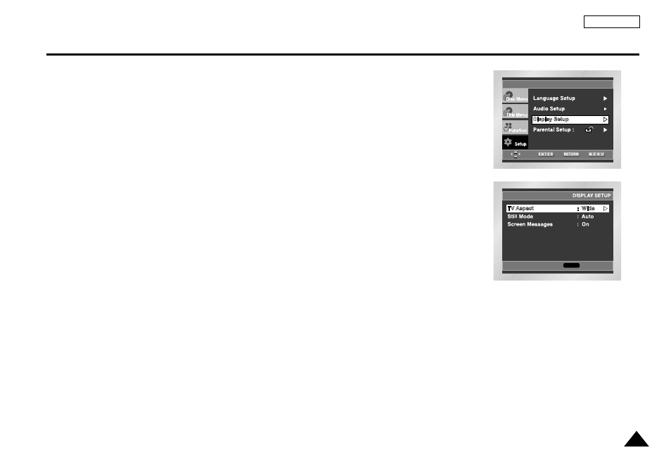 Display options, Setting up the display options | Samsung DVD-L1200 User Manual | Page 53 / 65