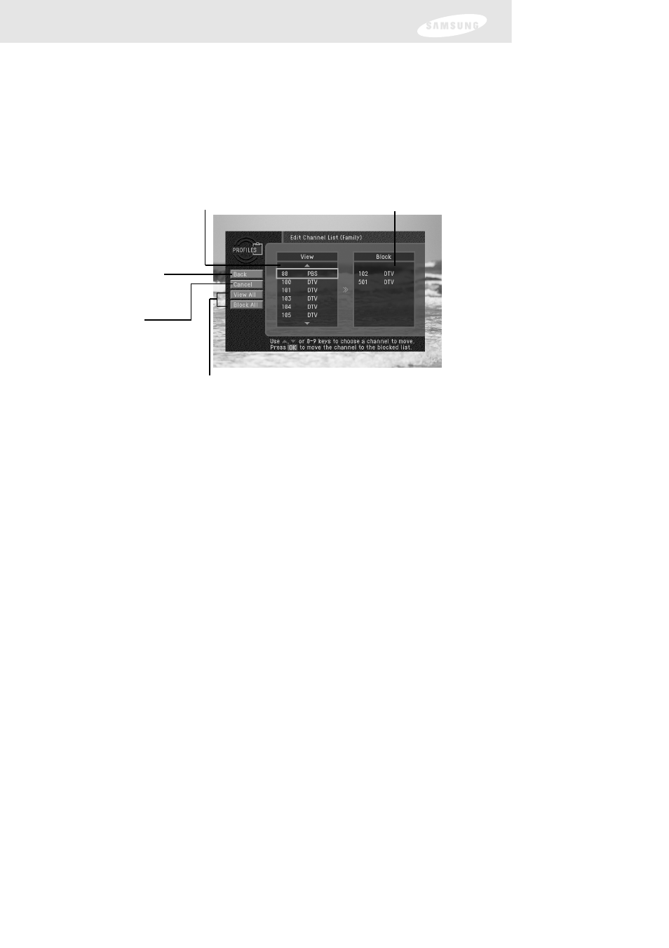 Chapter 6: user profiles, Setting ratings limits | Samsung DIRECTV SIR-TS160 User Manual | Page 75 / 110
