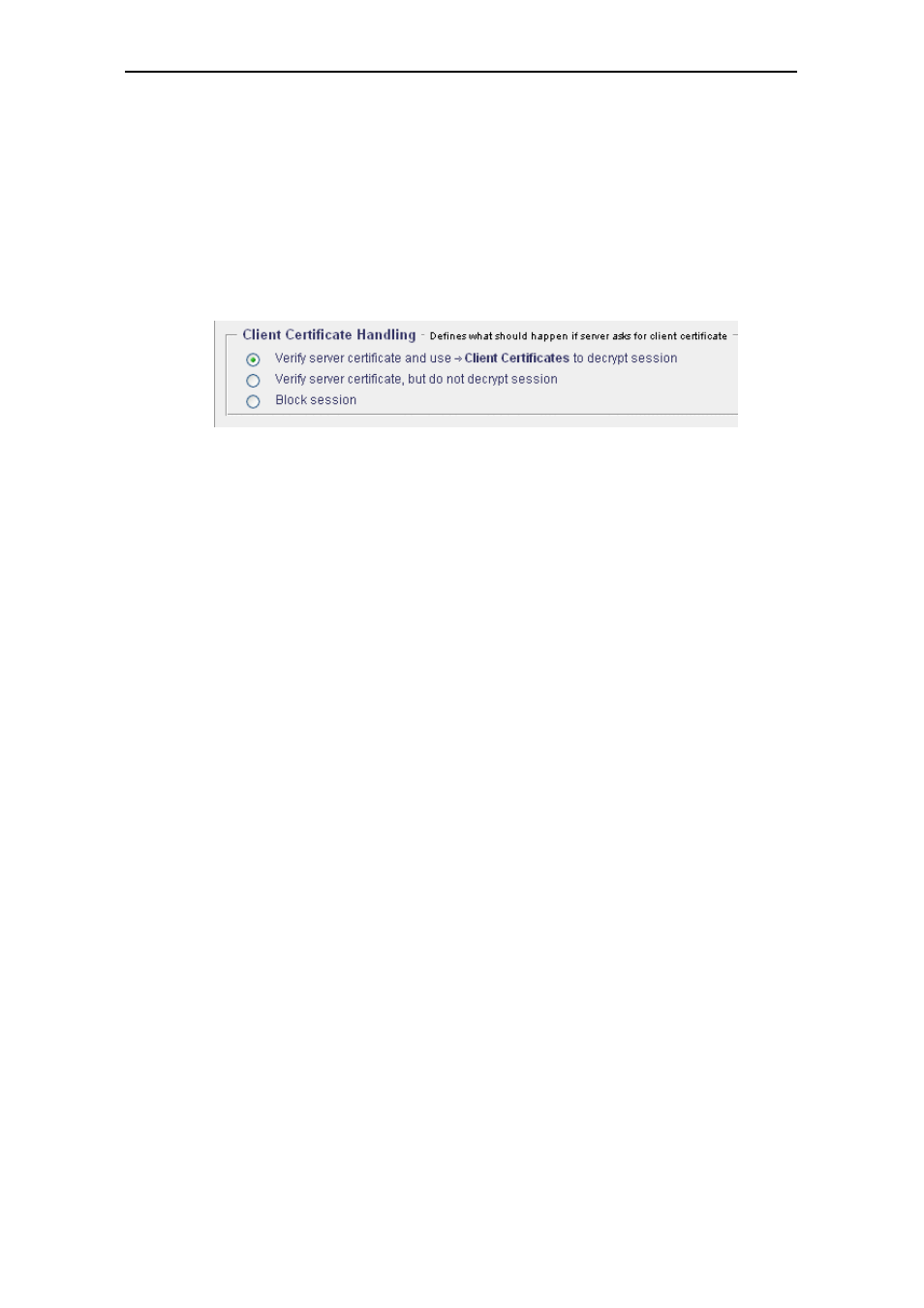 Secure Computing SSL Scanner User Manual | Page 171 / 191