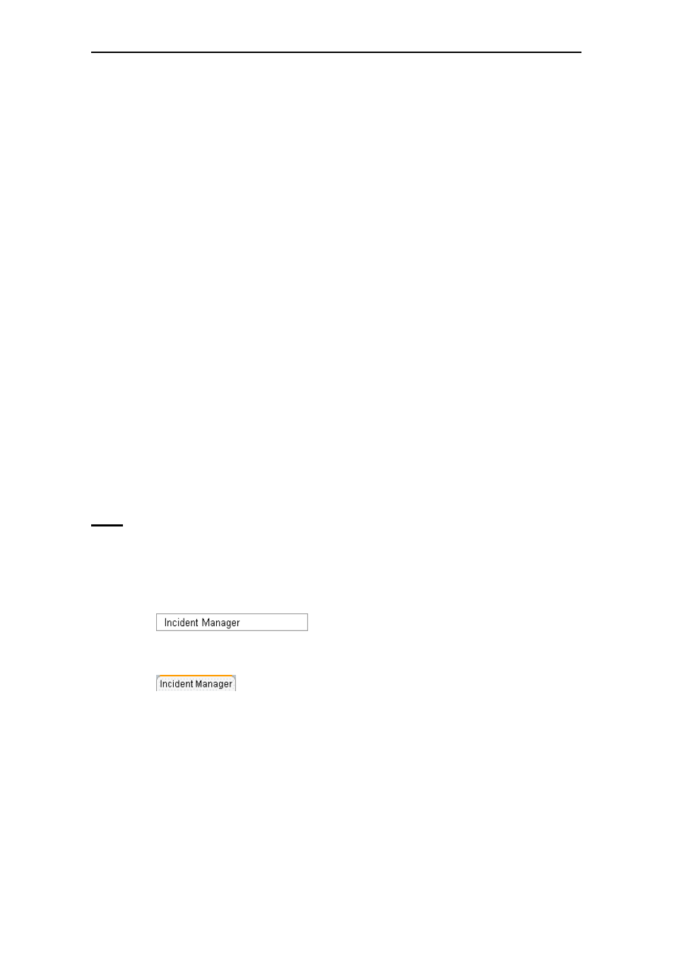 Incident manager, 9 incident manager | Secure Computing SSL Scanner User Manual | Page 188 / 191