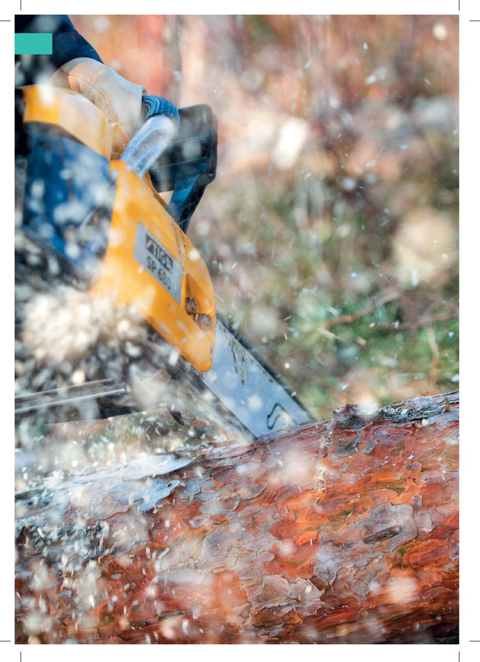 Stiga Garden Range Primo User Manual | Page 50 / 76