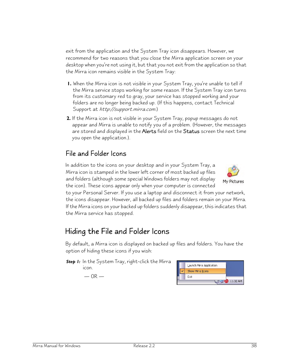 File and folder icons, Hiding the file and folder icons | Seagate Server User Manual | Page 46 / 149