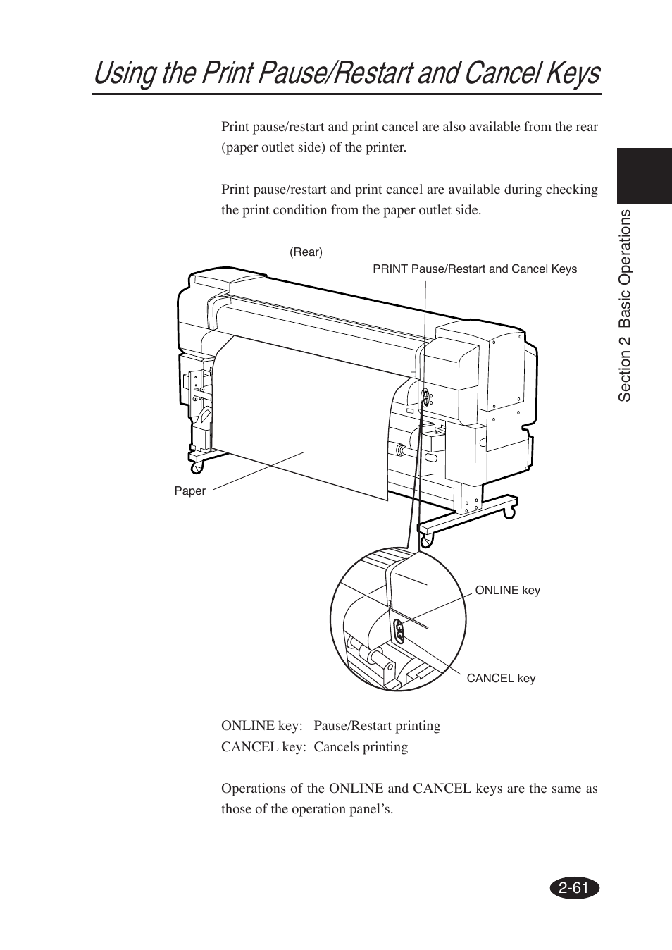 Using the print pause/restart and cancel keys | Seiko Group SII IP-6600 User Manual | Page 105 / 197