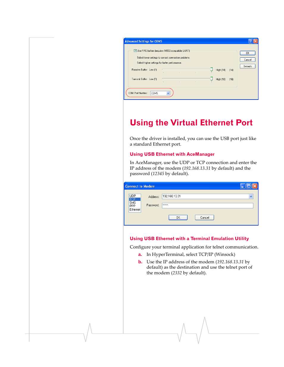 Using the virtual ethernet port, Using the virtual, Ethernet port | Sierra Wireless 20070914 User Manual | Page 62 / 203