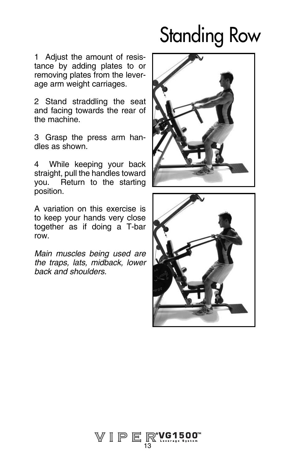 Standing row | Stamina Products Viper VG1500 User Manual | Page 15 / 32