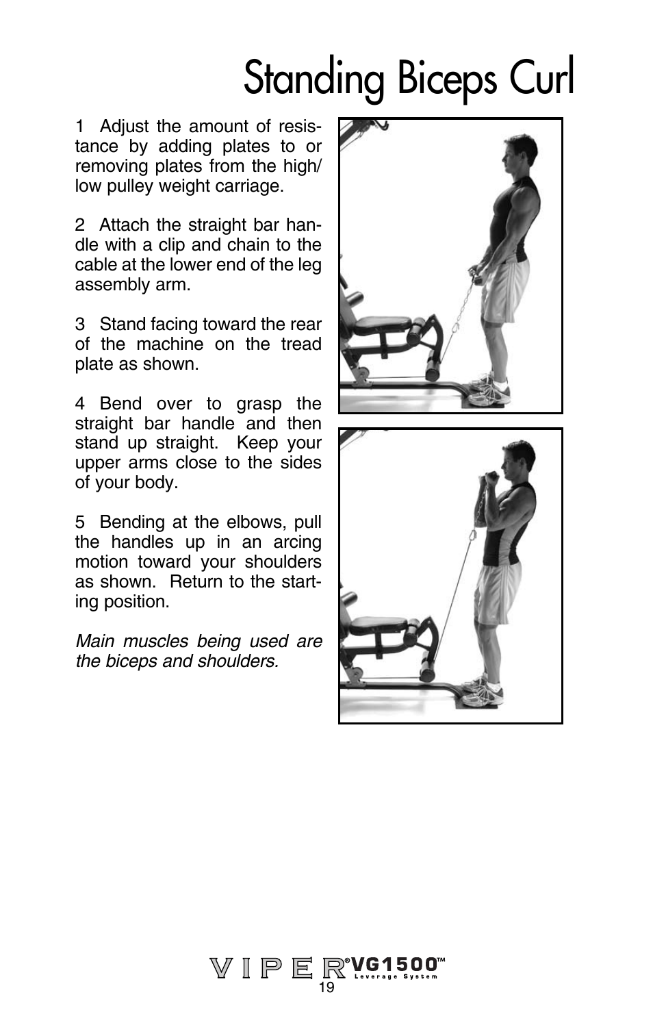 Standing biceps curl | Stamina Products Viper VG1500 User Manual | Page 21 / 32