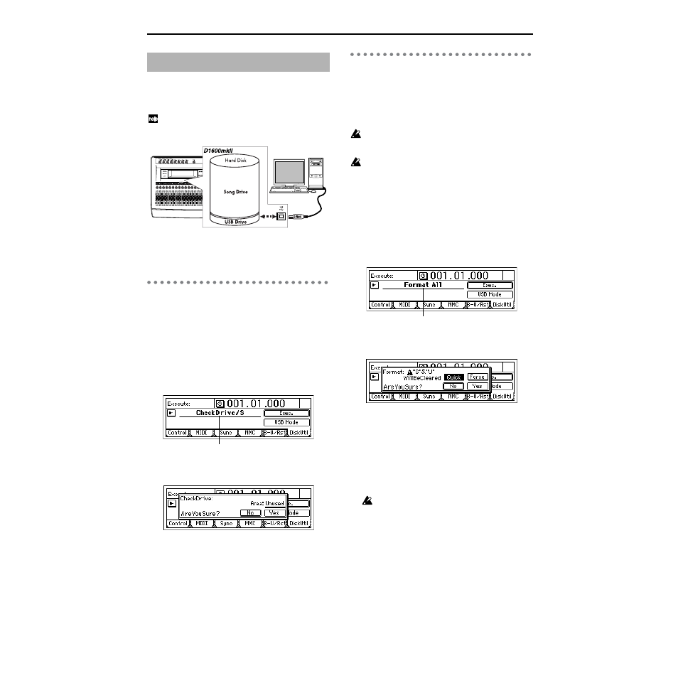 Drive, Checking the hard disk, Formatting the hard disk | Strahl D1600mkII User Manual | Page 90 / 180
