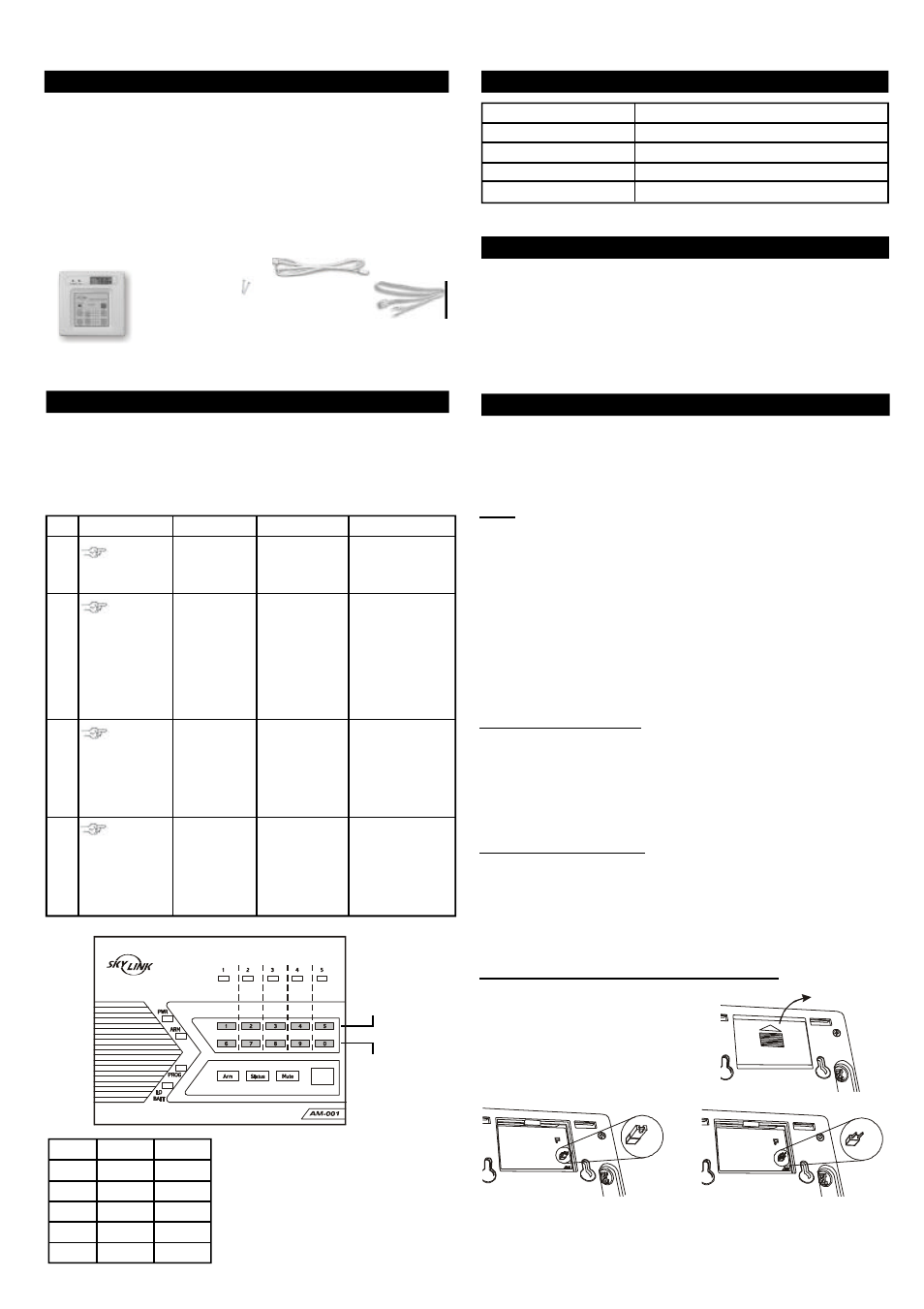 Skylink TS-101 User Manual | 2 pages