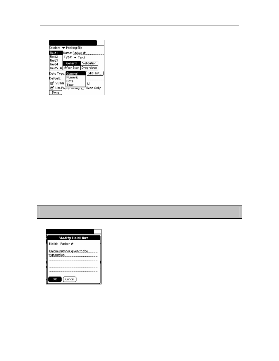 Chapter 4: field settings | Symbol Technologies AccuScan Palm Pro User Manual | Page 21 / 34