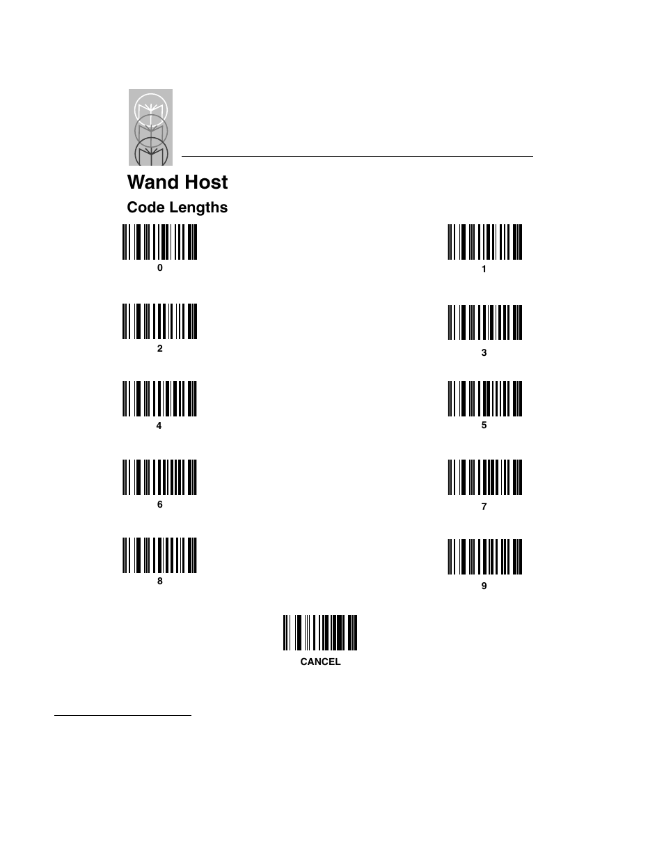 Wand host, Code lengths | Symbol Technologies LS 3603 User Manual | Page 102 / 138