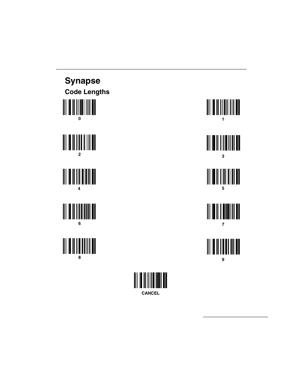 Synapse, Code lengths | Symbol Technologies LS 3603 User Manual | Page 117 / 138