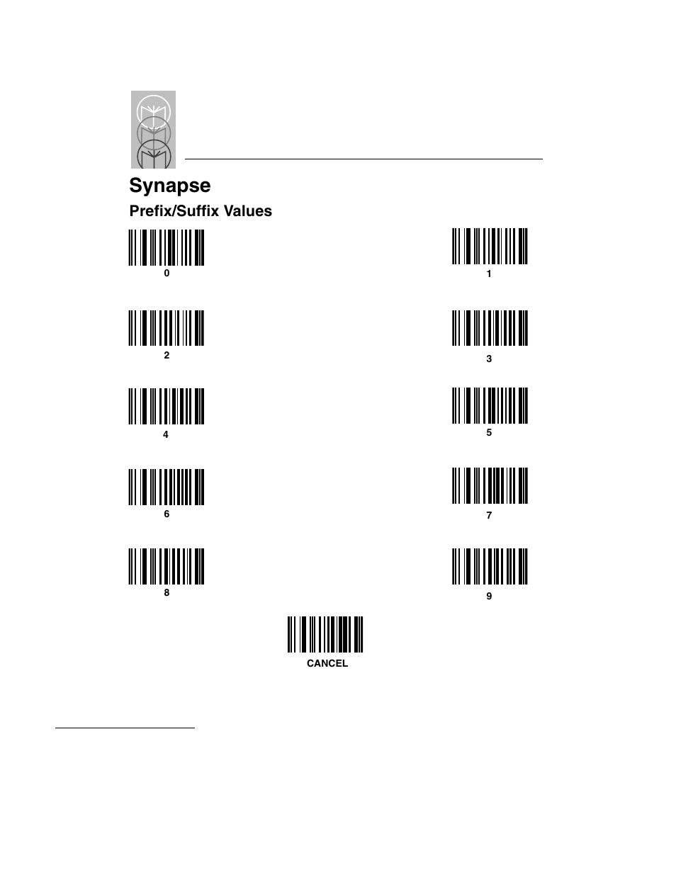 Synapse, Prefix/suffix values | Symbol Technologies LS 3603 User Manual | Page 128 / 138