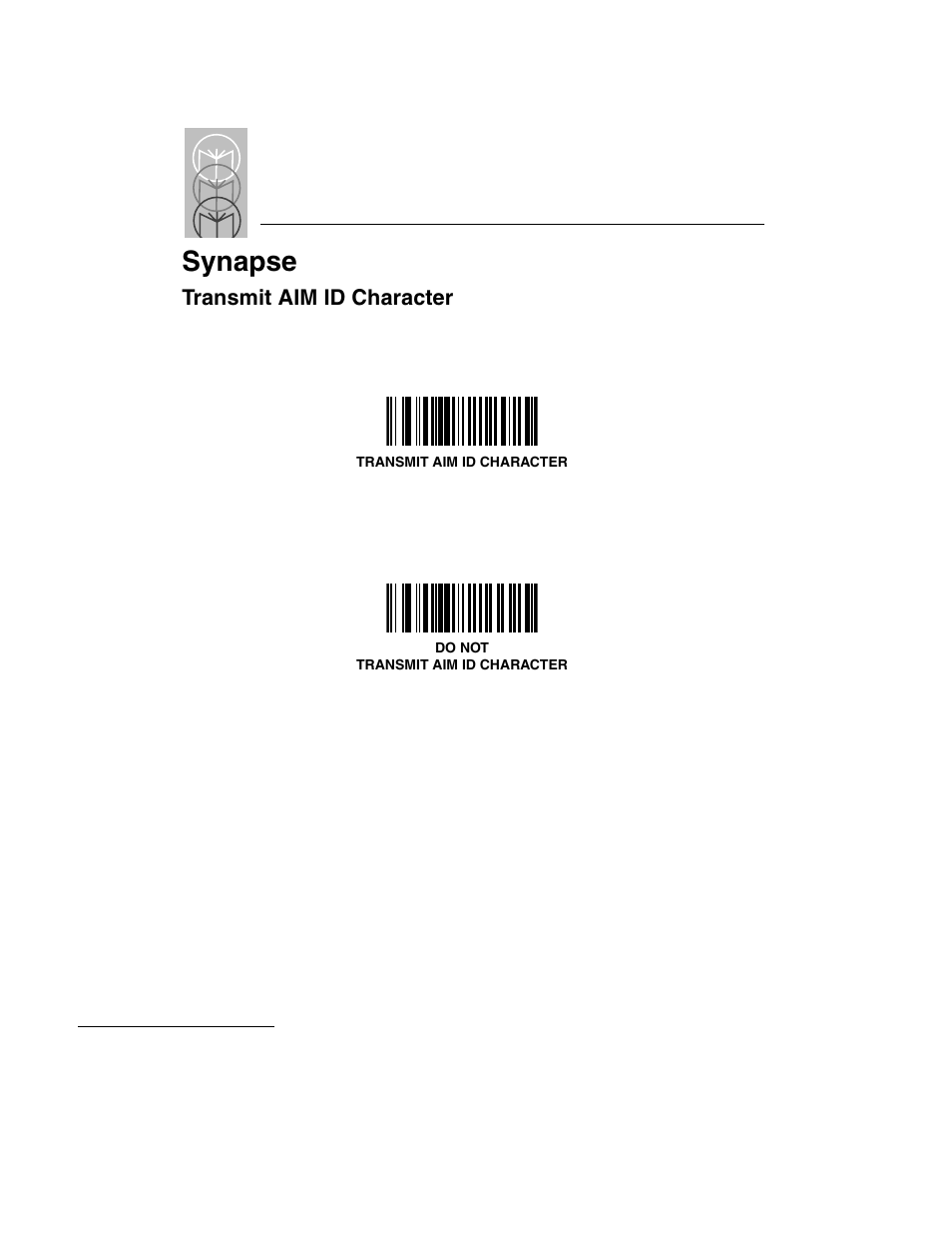 Transmit aim id character, Transmit aim id character -70, Synapse | Symbol Technologies LS 3603 User Manual | Page 130 / 138