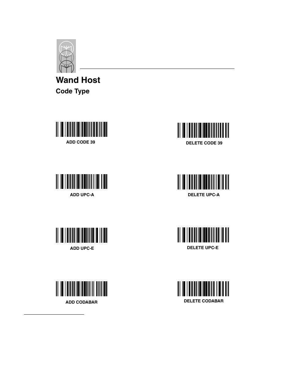 Wand host, Code type, Wand host -38 | Code type -38 | Symbol Technologies LS 3603 User Manual | Page 98 / 138