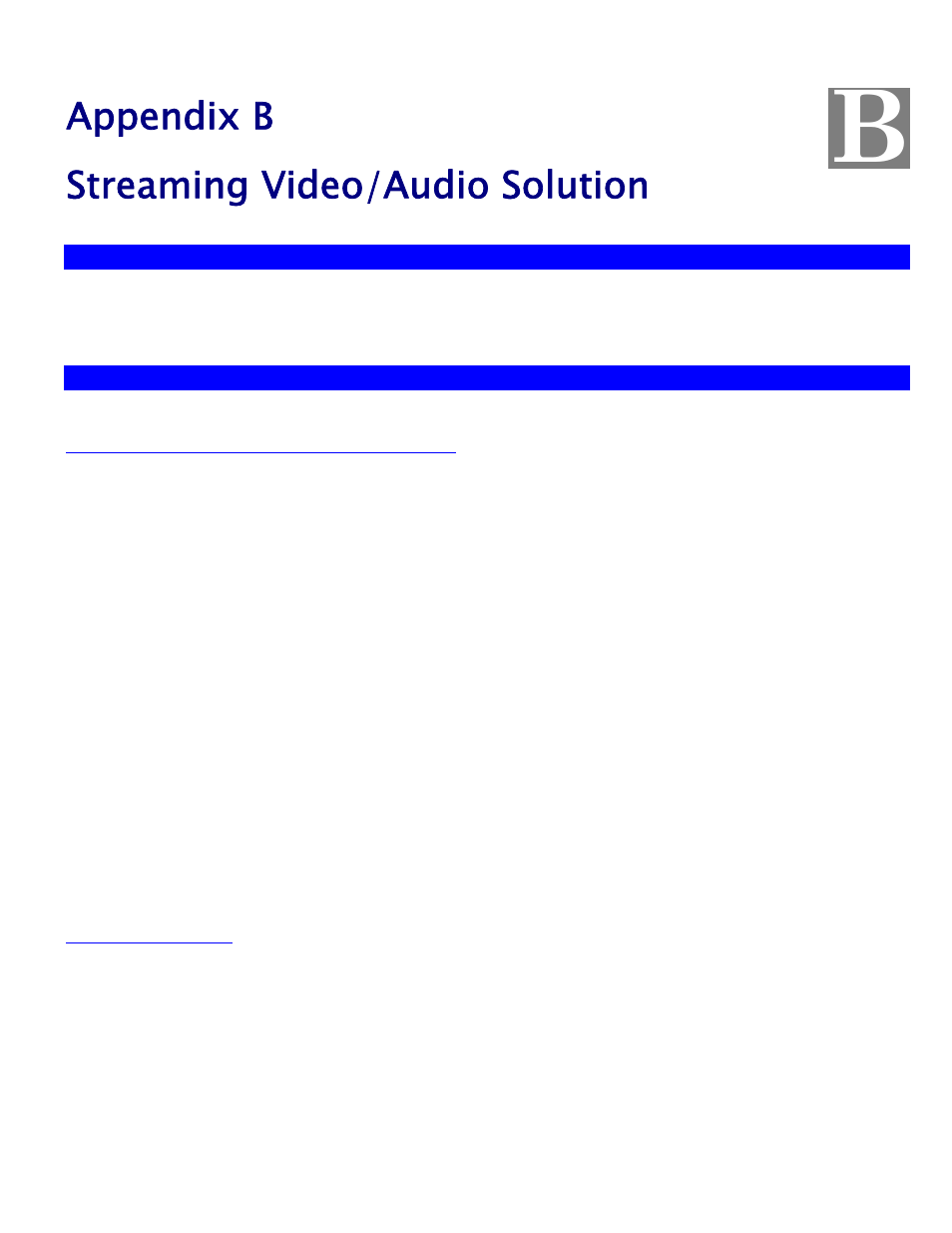 Appendix bstreaming video/audio solution, Overview, Streaming video/audio through internet camera | Appendix b streaming video/audio solution, Appendix b, Streaming video/audio solution | Spectra Watermakers BlueScale Vision 956YH60001 User Manual | Page 83 / 83