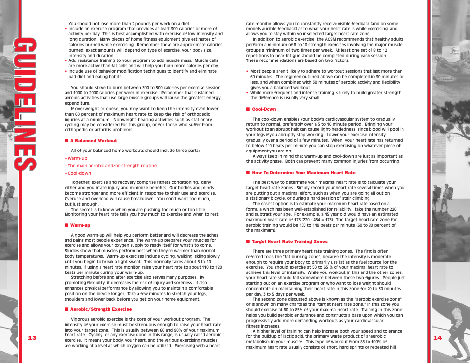 Schwinn 117P/217P User Manual | Page 10 / 13