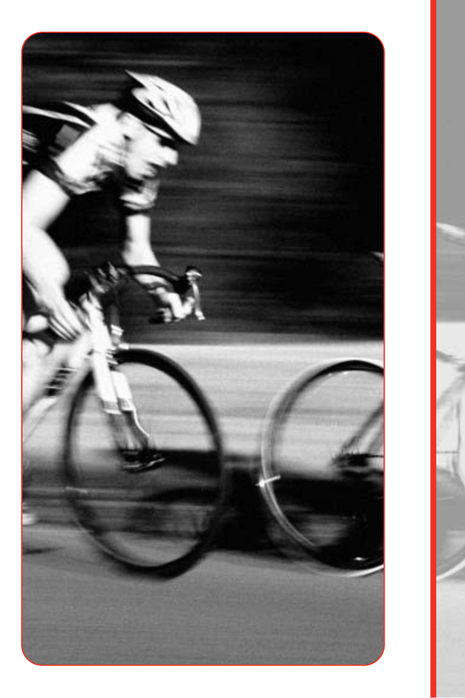 Schwinn 113/213 User Manual | Page 3 / 40