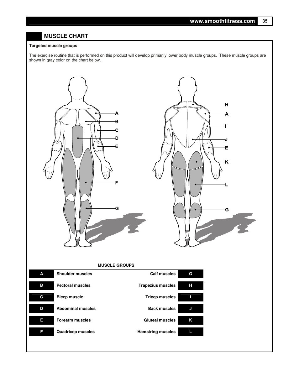 Muscle chart | Smooth Fitness 9.35HR User Manual | Page 35 / 38