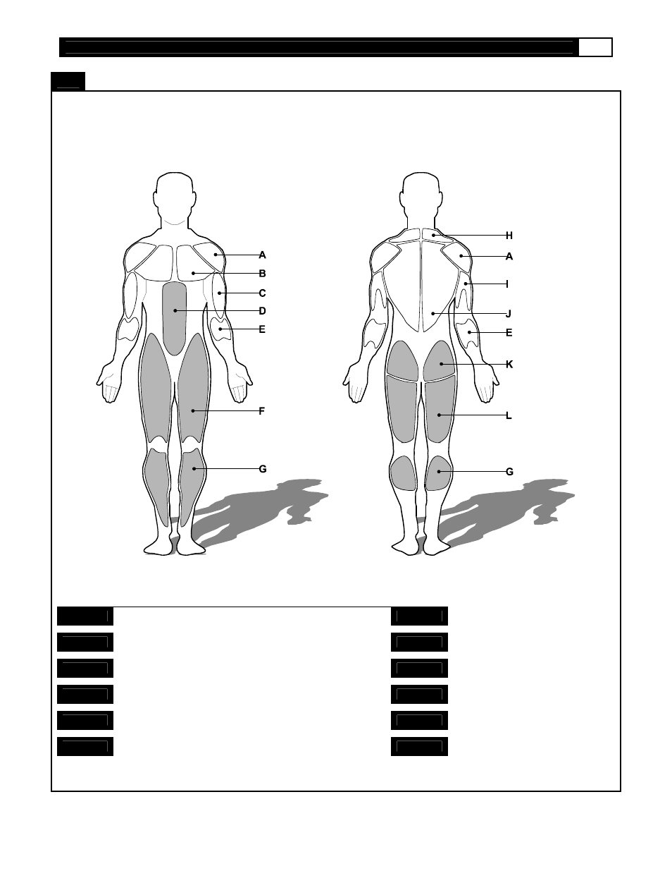 Muscle chart | Smooth Fitness 5.25 Motorized Treadmill User Manual | Page 34 / 38