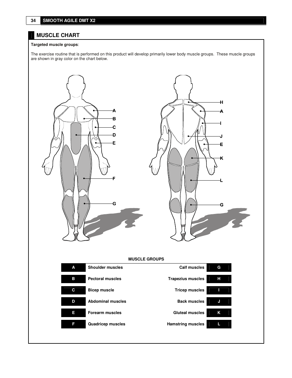 Muscle chart | Smooth Fitness DMT X2 User Manual | Page 34 / 45