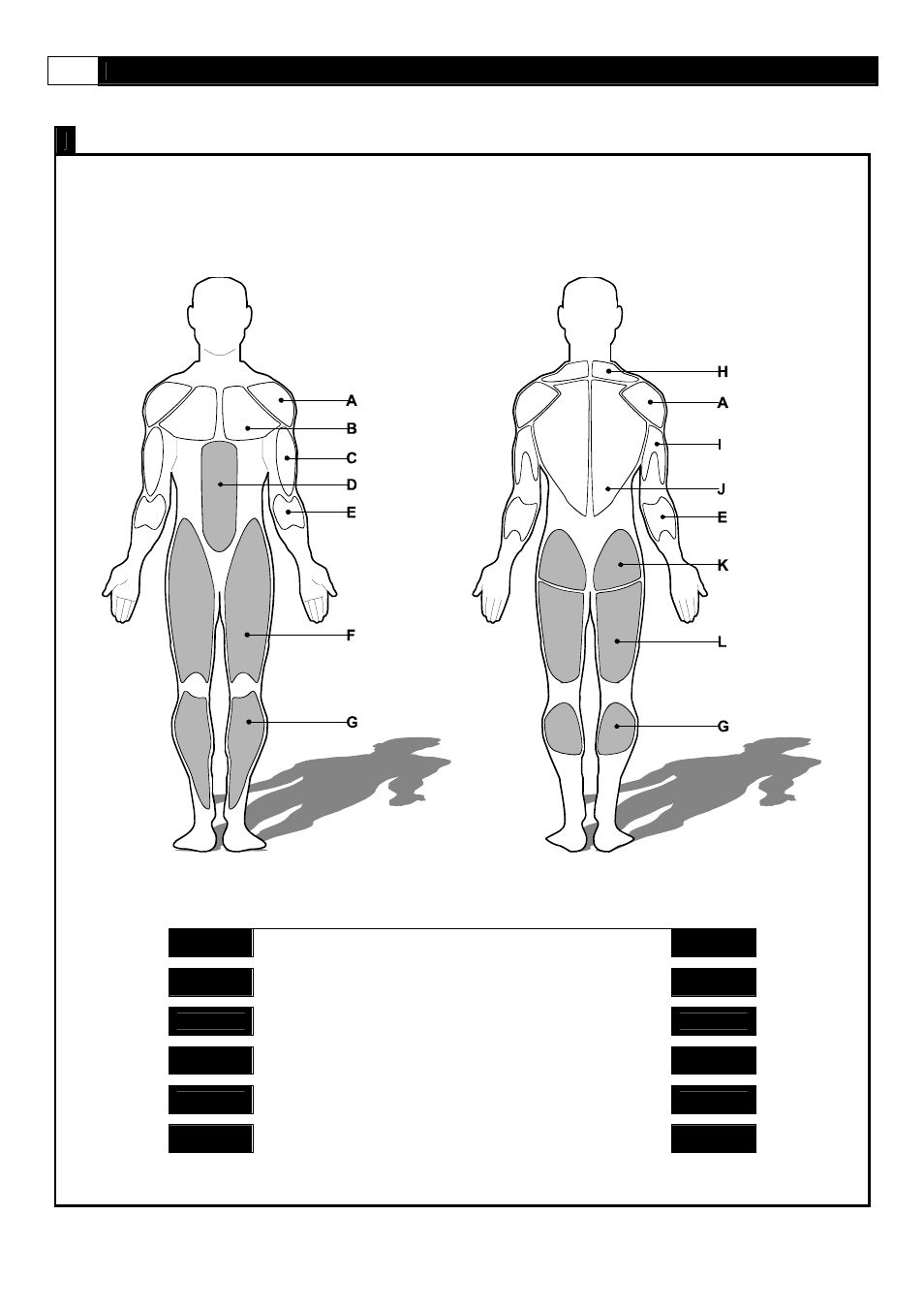 Muscle chart, Muscle groups | Smooth Fitness Smooth 9.25x User Manual | Page 40 / 49