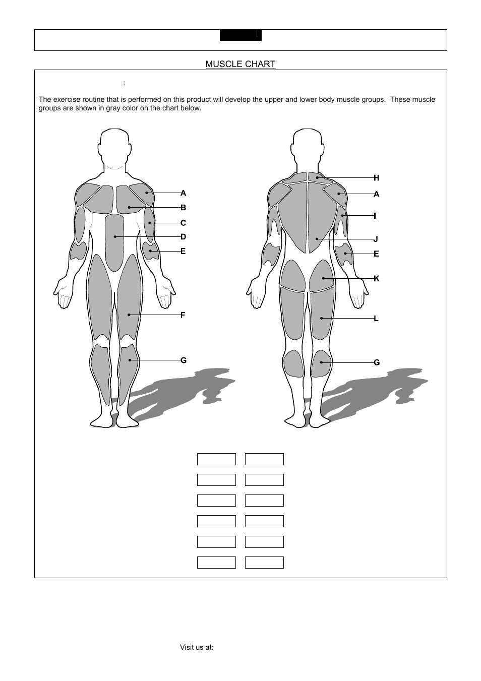 Muscle chart, Shoulder muscles, Pectoral muscles | Smooth Fitness CE 3.2 User Manual | Page 35 / 38