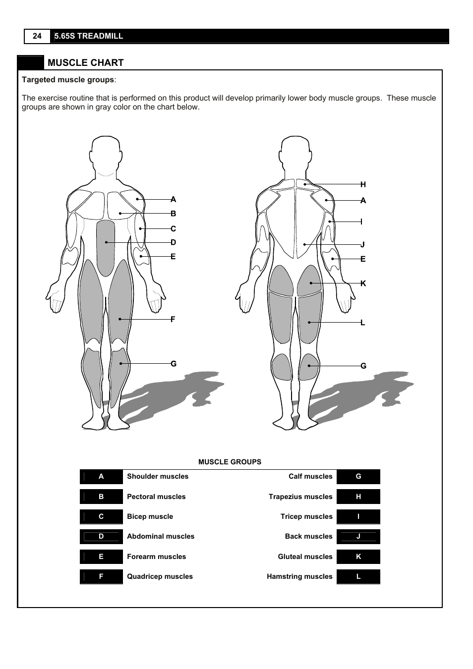 Muscle chart | Smooth Fitness 5.65S User Manual | Page 24 / 41