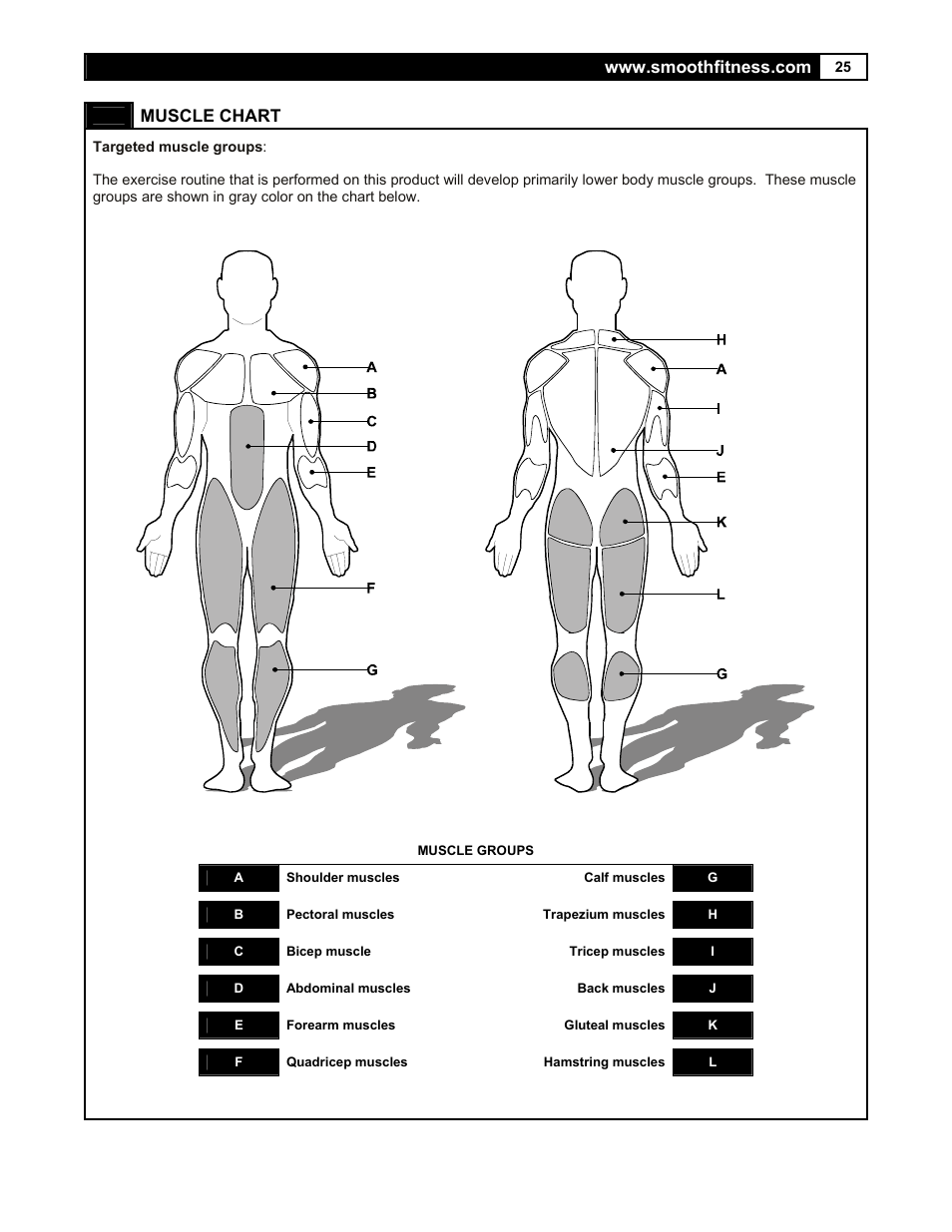 Muscle chart | Smooth Fitness 7.35 R User Manual | Page 25 / 39