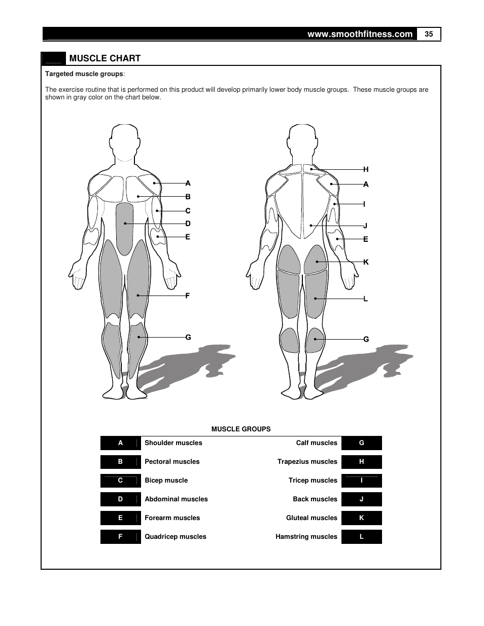 Muscle chart | Smooth Fitness USER WEIGHT LIMITATION CE7.4 User Manual | Page 35 / 37