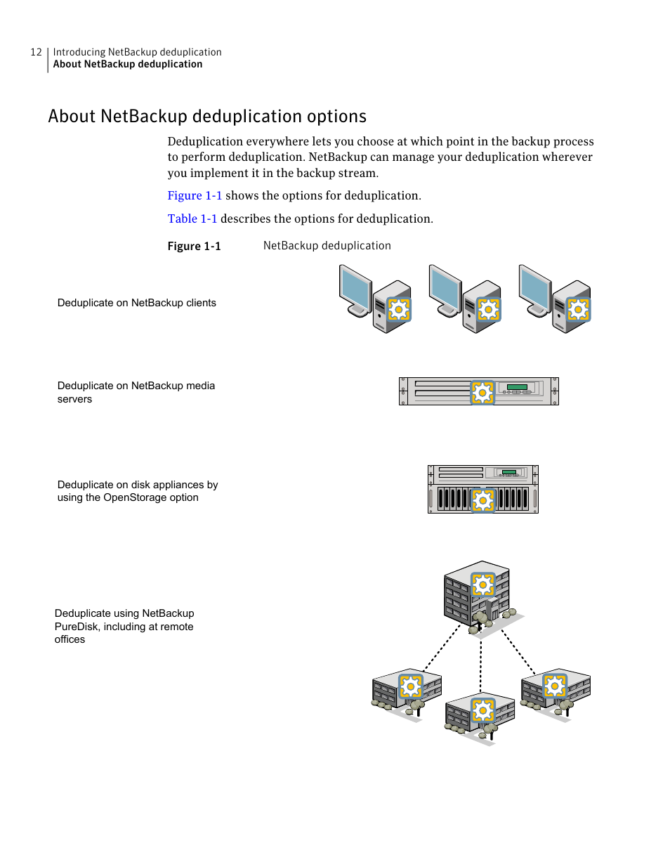 About netbackup deduplication options | Symantec NETBACKUP 7 User Manual | Page 12 / 122