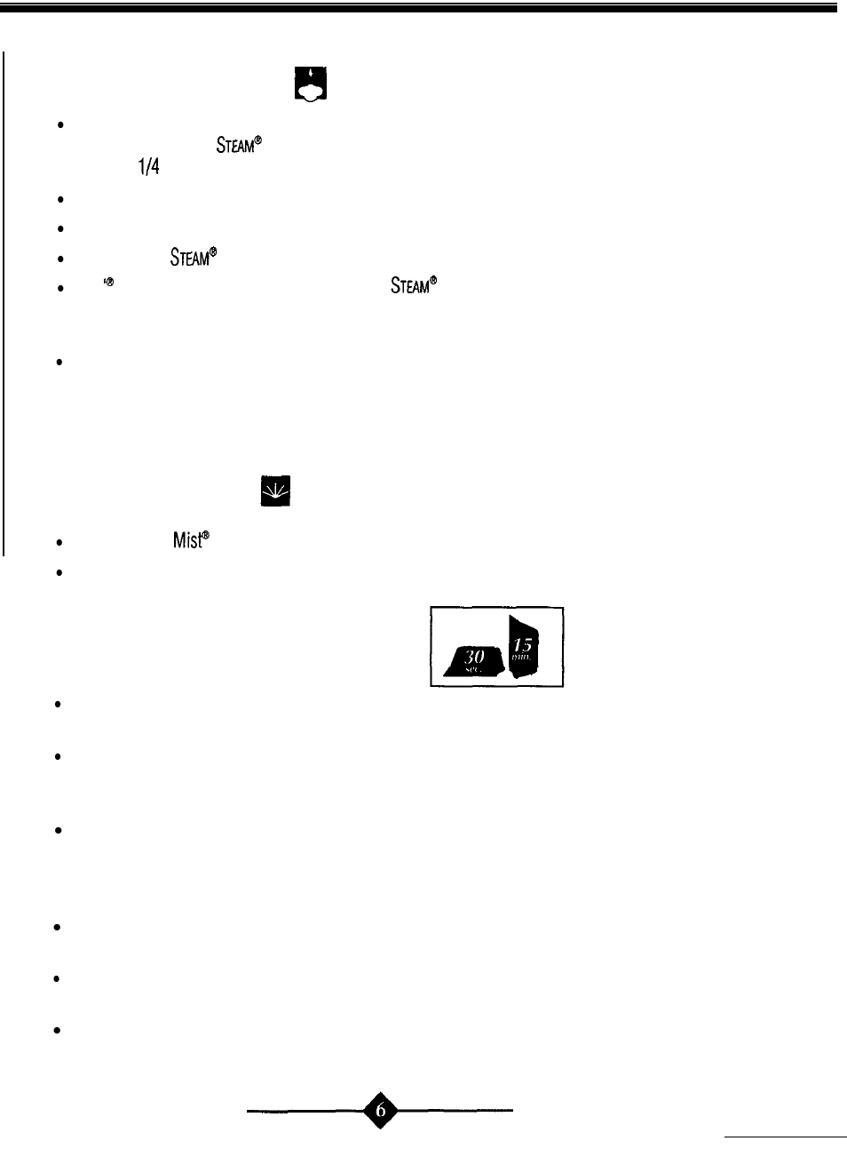 Shot of steam feature, Spray mist feature, Safety smart feature auto shut-off | Sunbeam 4059 User Manual | Page 6 / 48
