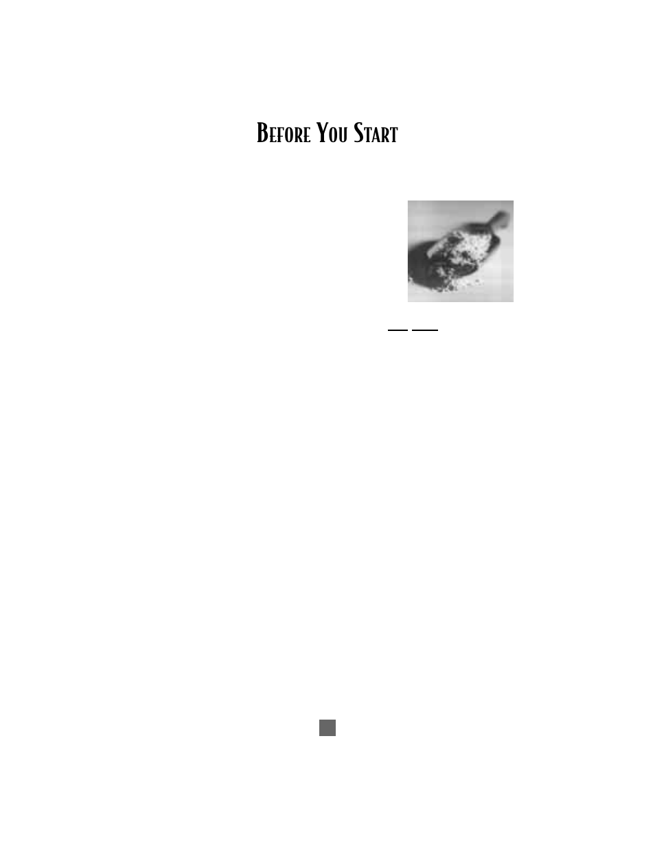 Efore, Tart | Sunbeam Bread/Dough Maker User Manual | Page 6 / 56