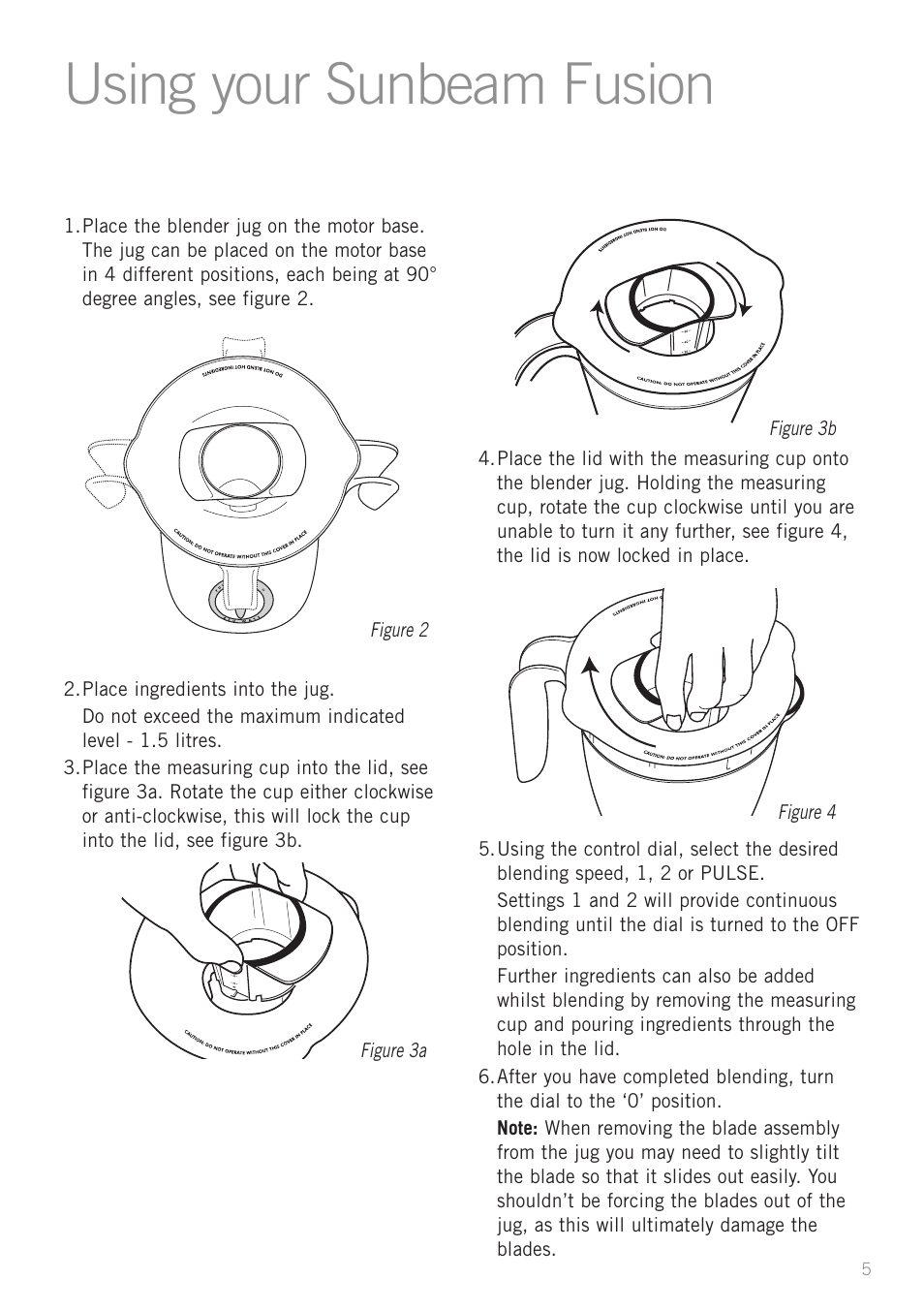 Using your sunbeam fusion | Sunbeam PB4200 User Manual | Page 7 / 25