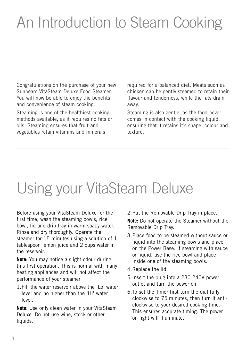 Sunbeam ST6610 User Manual | Page 6 / 24