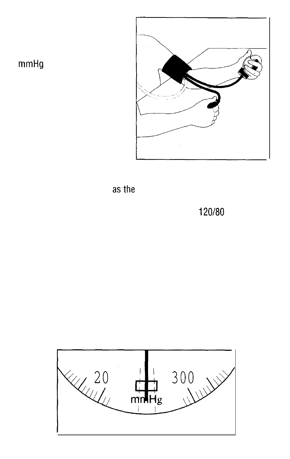 Sunbeam 7682 User Manual | Page 6 / 8