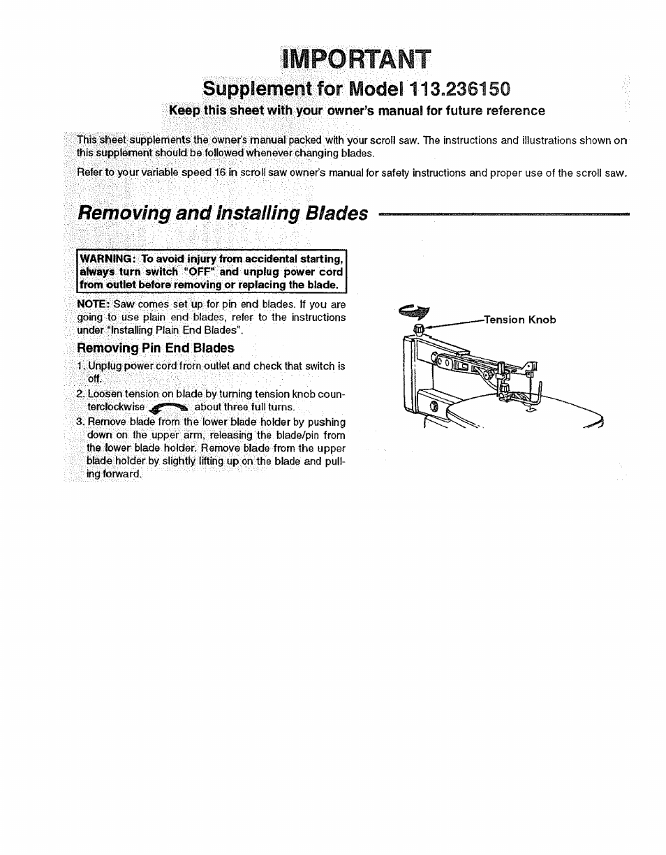 Removing pin end blades, Important, Removing and installing blades | Sears 113.23615 User Manual | Page 24 / 28