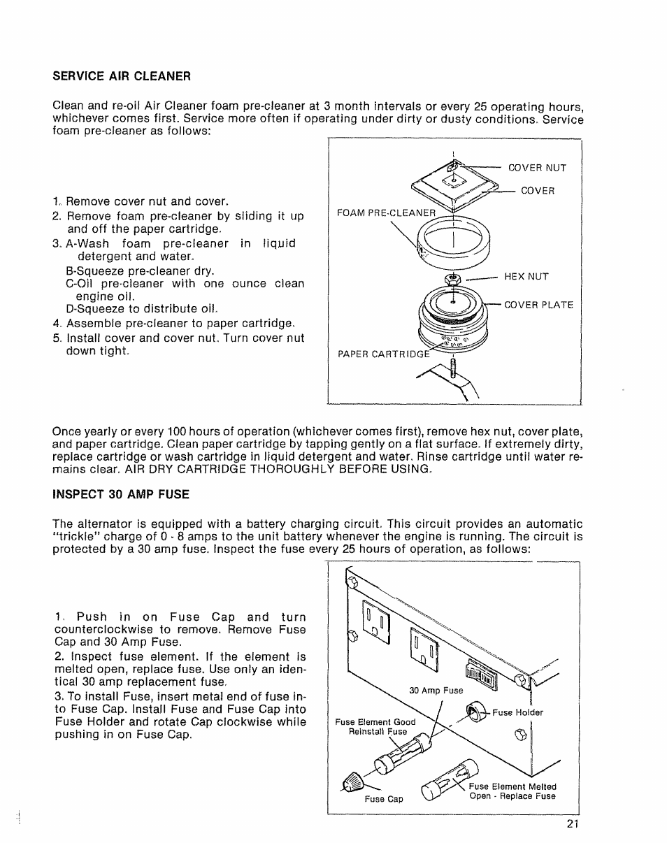 Service air cleaner, Inspect 30 amp fuse | Sears 580.32601 User Manual | Page 23 / 41