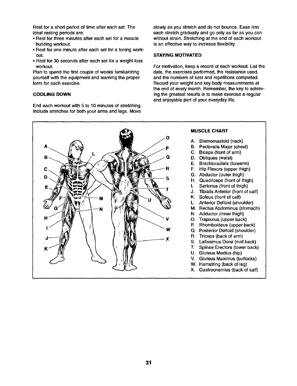 Cooling down, Staying motivated, Muscle chart | Sears 831.15403 User Manual | Page 31 / 40