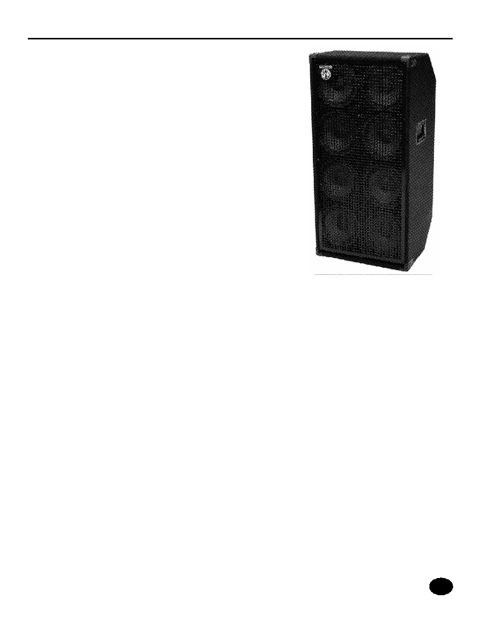 SWR Sound Workingman's Series Bass Speaker 1X10T User Manual | Page 10 / 18