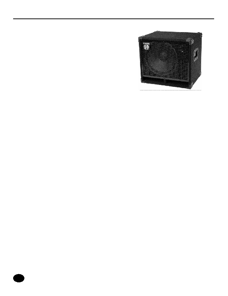 SWR Sound Workingman's Series Bass Speaker 1X10T User Manual | Page 7 / 18