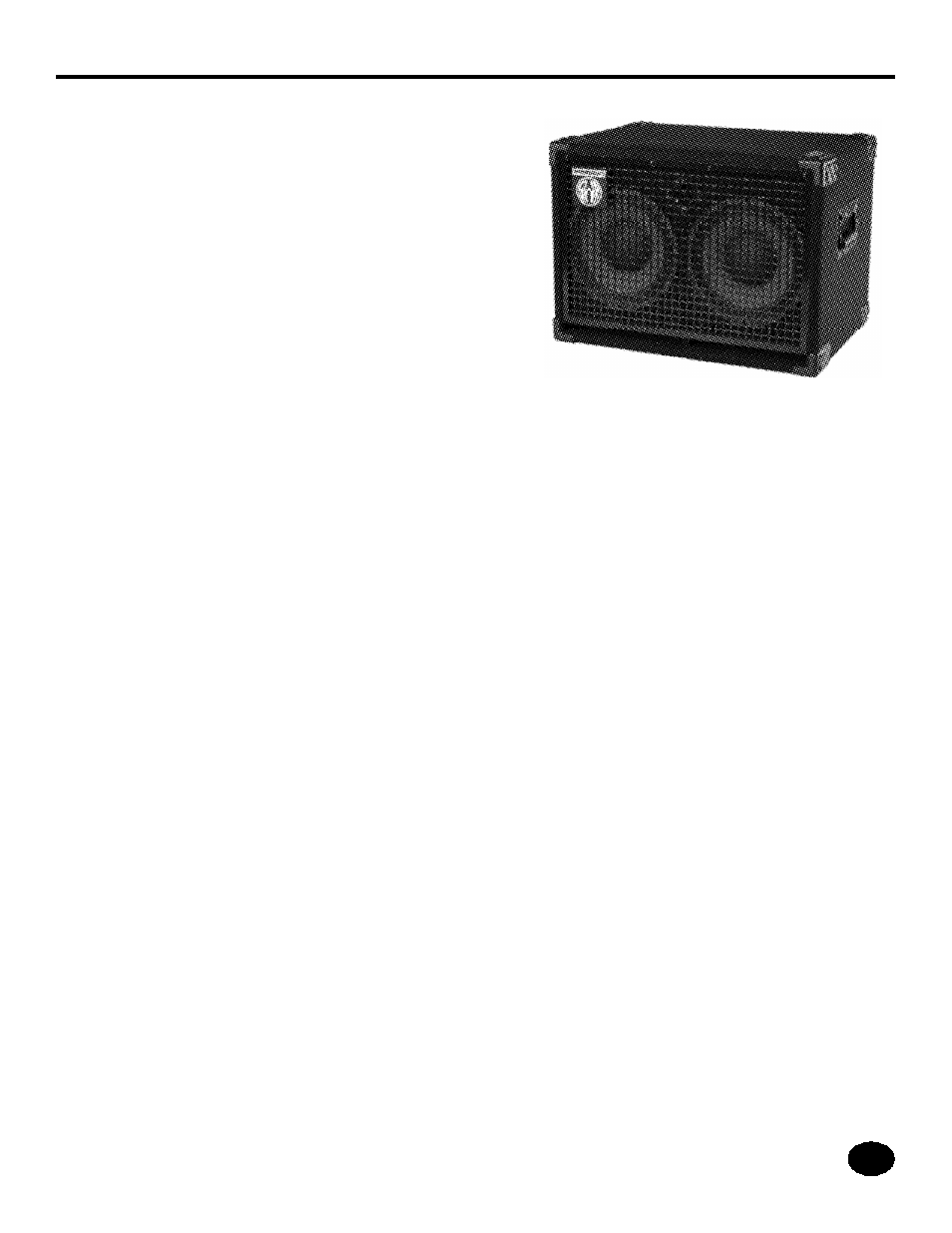 SWR Sound Workingman's Series Bass Speaker 1X10T User Manual | Page 8 / 18