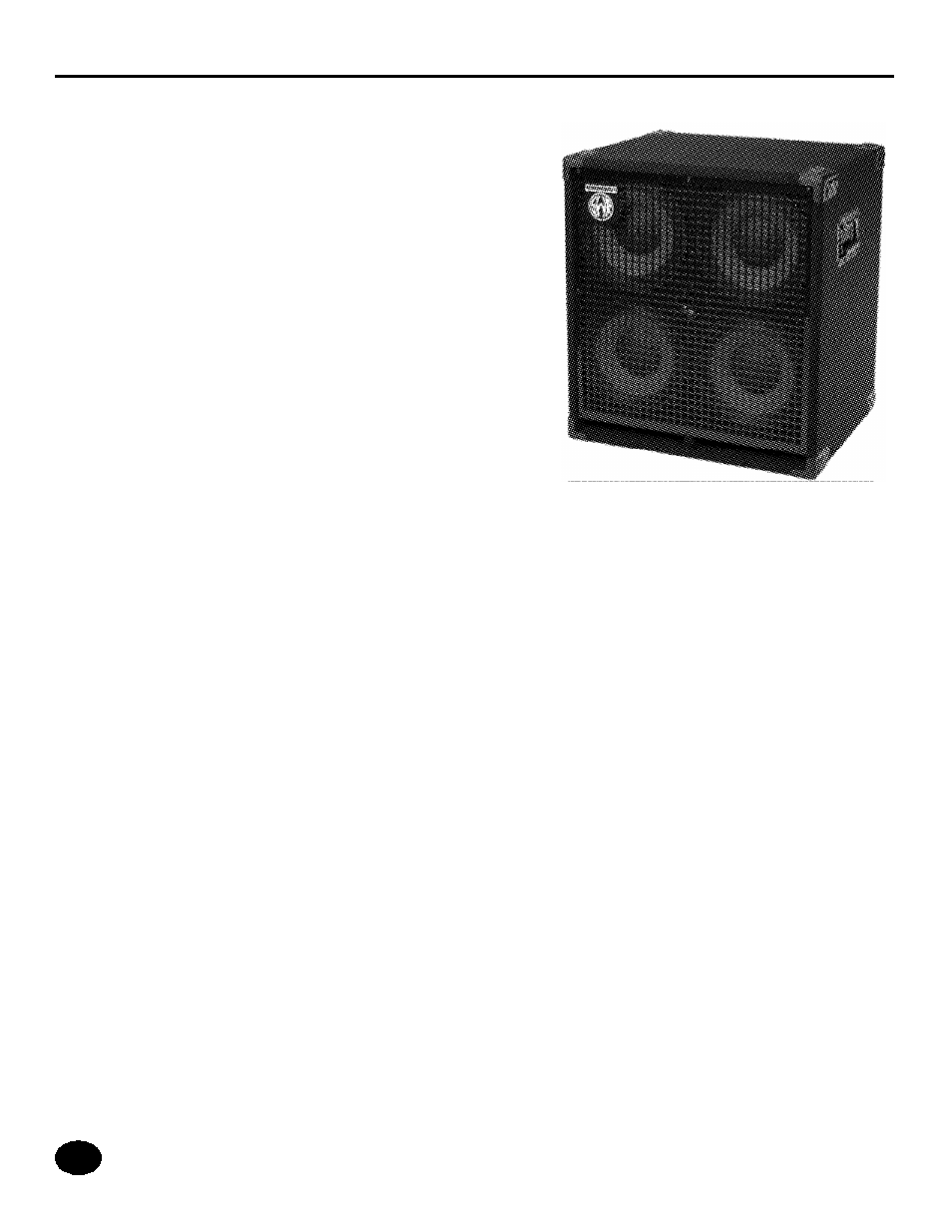 SWR Sound Workingman's Series Bass Speaker 1X10T User Manual | Page 9 / 18