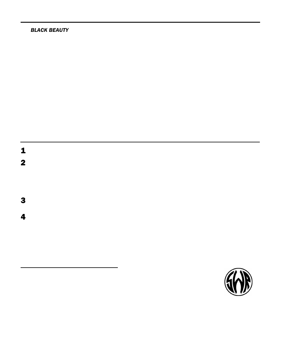 Black beauty limited warranty | SWR Sound Bass Combo Amplifier User Manual | Page 19 / 19