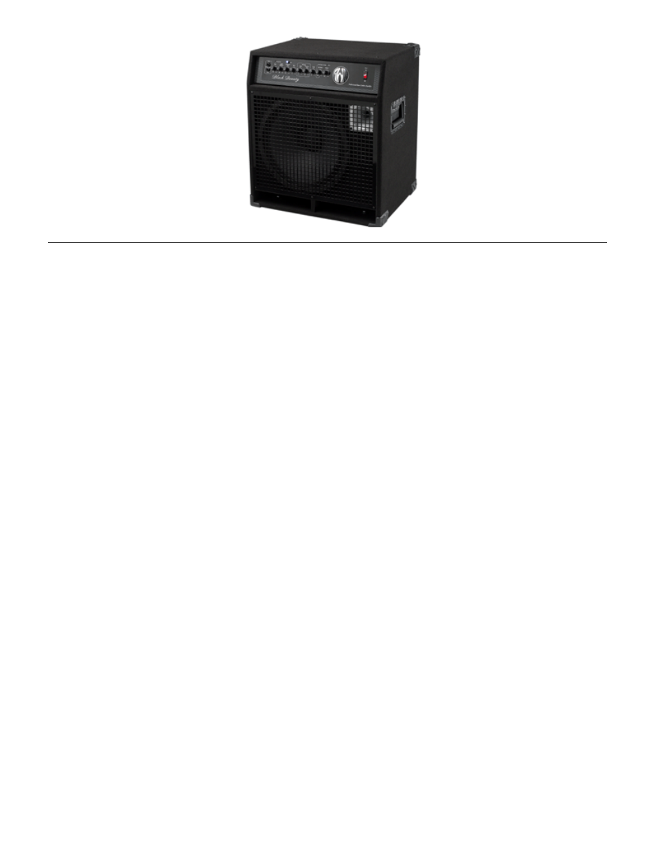 SWR Sound Bass Combo Amplifier User Manual | Page 3 / 19