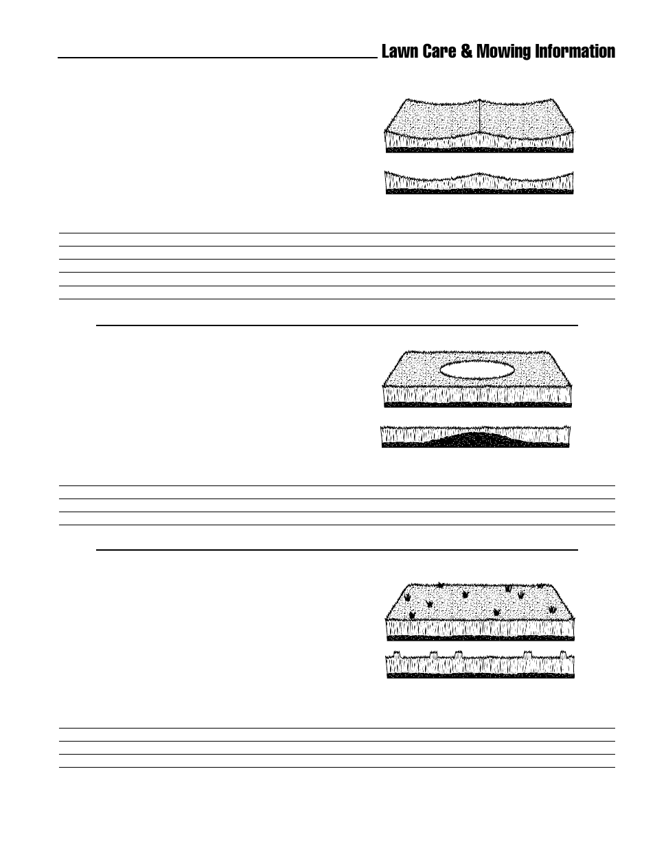 Lawn care & mowing information, Stingers, Uneven cutting | Scalping | Simplicity ZT2148 User Manual | Page 39 / 41