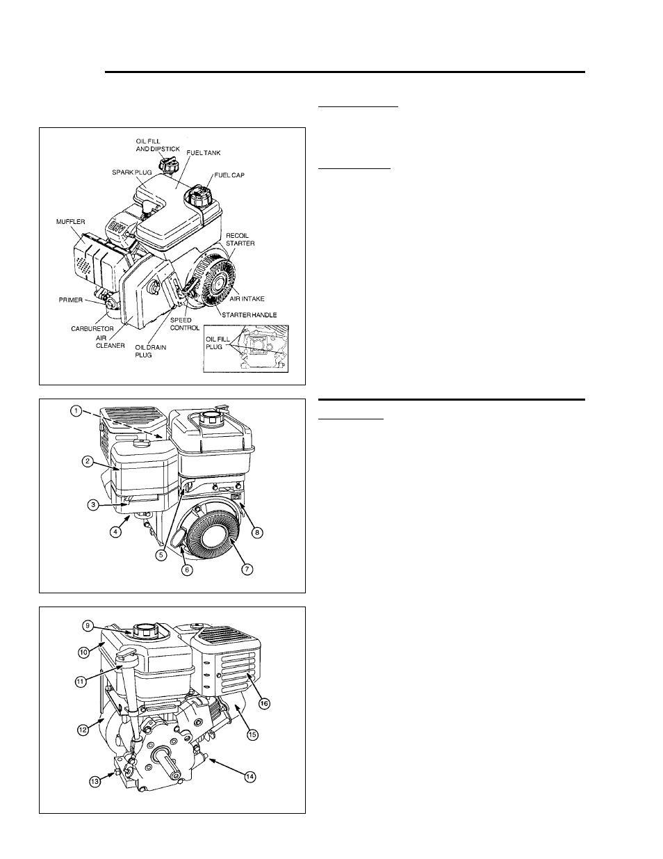 Controls, Engine controls | Simplicity 1693704 User Manual | Page 12 / 28