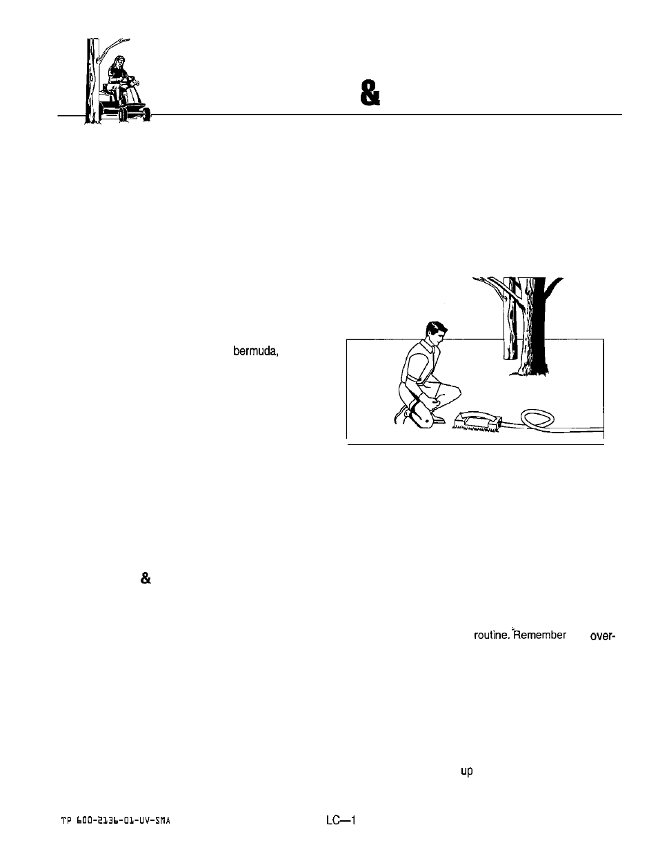 Lawn care mowing information, General information, Types of grass, climate and conditions | How and when to water, fertilize aerate | Simplicity 14HP User Manual | Page 43 / 50